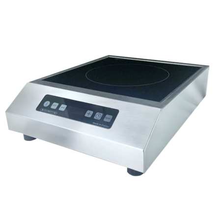 Plaque induction posable 2500w