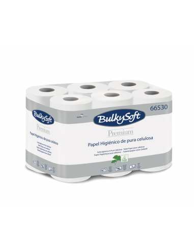 Papier toilette rouleaux 2pl blc 180fts 12x8 - Conditionné par 96