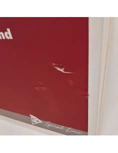 Pétrin à spirale 22 litres tête relevable, cuve amovible, 2 vitesses, timer, sur roues 2