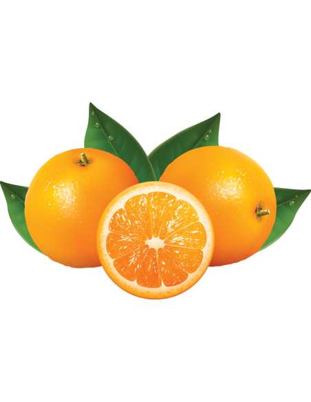 Presse-agrumes avec levier "chrome"