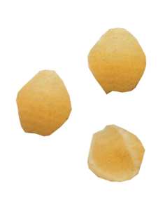 Matrice en bronze "conchiglie