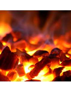 Four-BBQ à charbon, GN 1/1 (60 Kg/h)/Noir 2