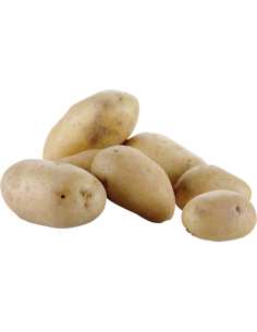 Eplucheuse pommes de terre sur pied (18 kg) 2