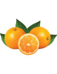 Presse-oranges automatique - compact 2