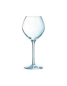 Flute 10 elegance - Lot de 24