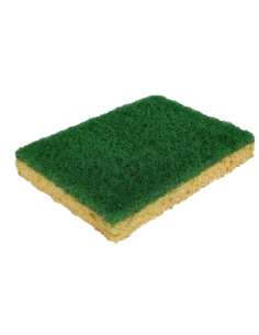 Eponge grattante gm 12x9- Lot de 10
