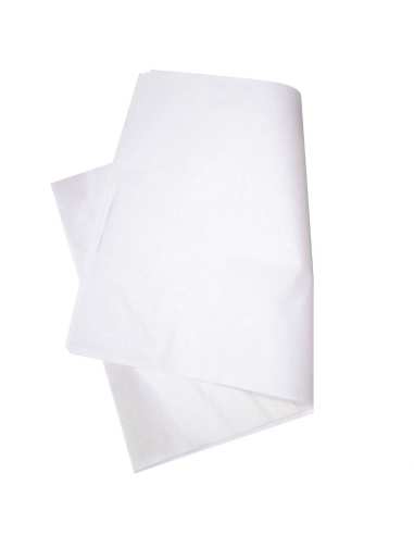 Papier boucherie ingraissable - Lot de 10