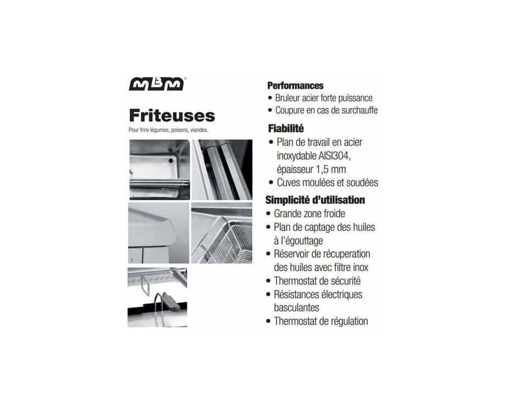 Friteuse électrique MBM professionnelle 14 litres sur coffre
