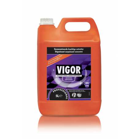 Vigor universel surpuissant 5 l